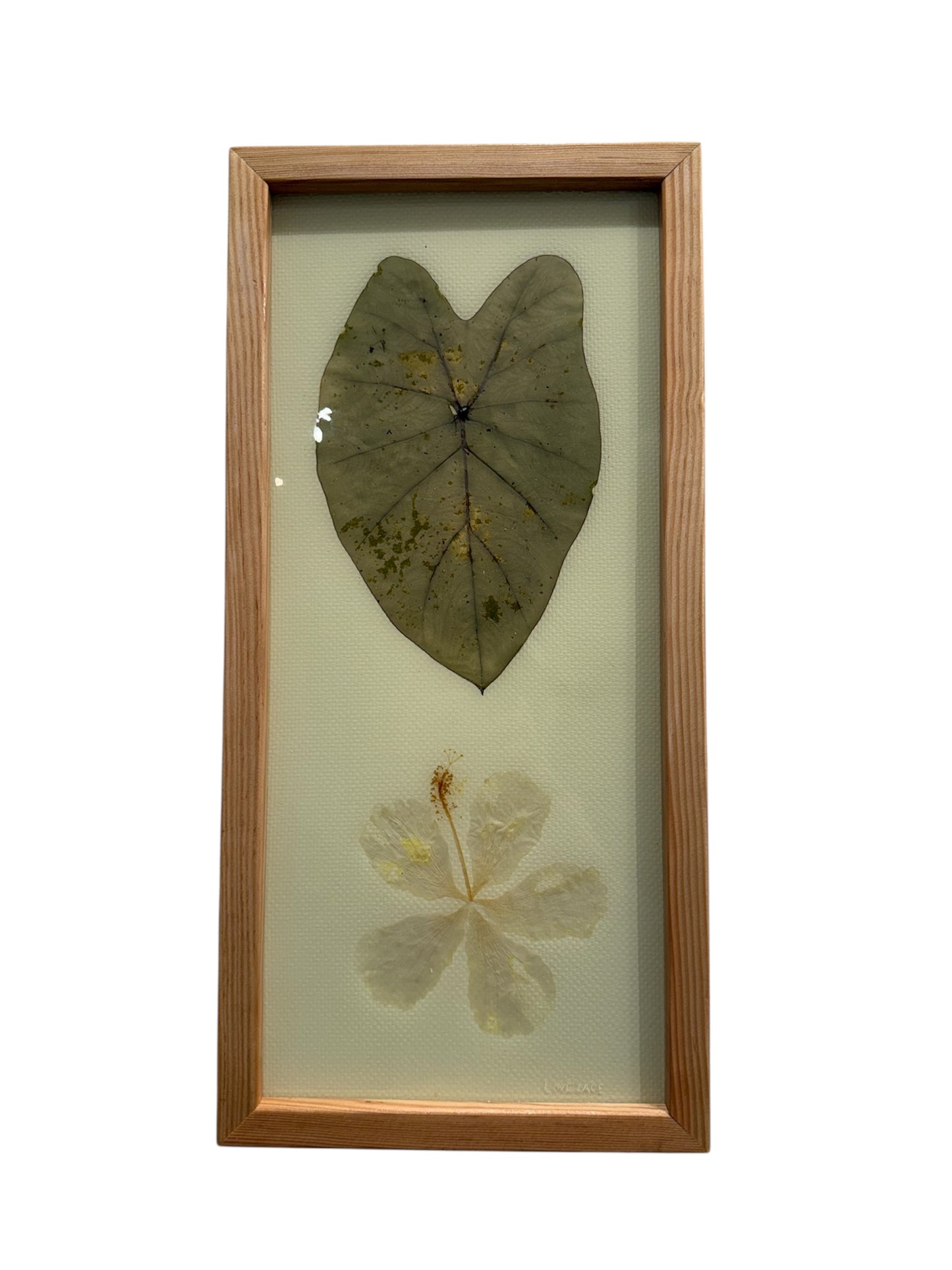 Lovelace Art - Kalo Plumeria