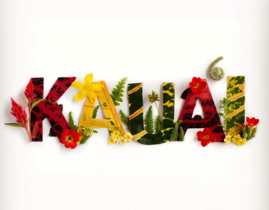 KAUAI flower/leaf Print