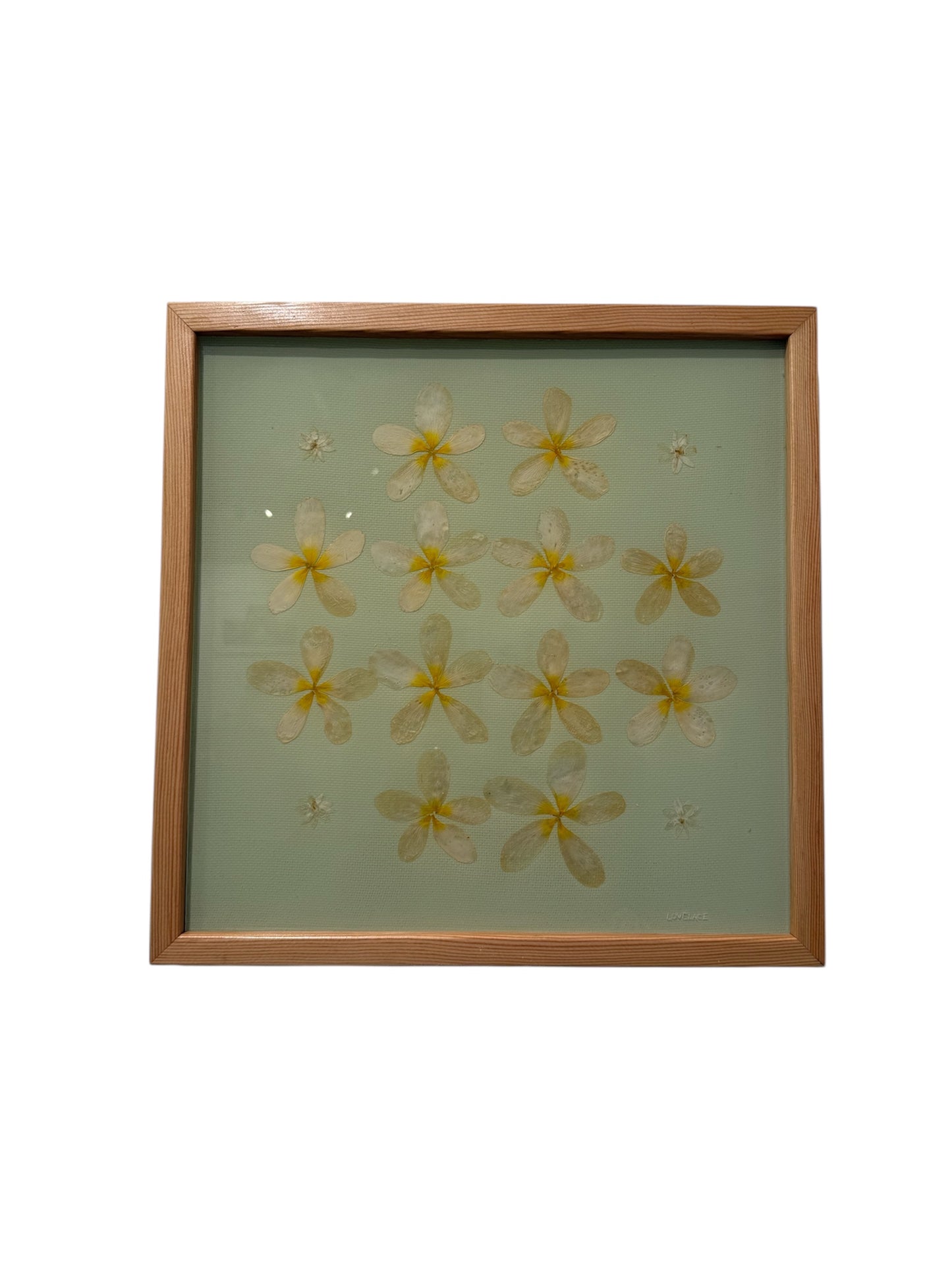 Lovelace Art - Plumeria Patch