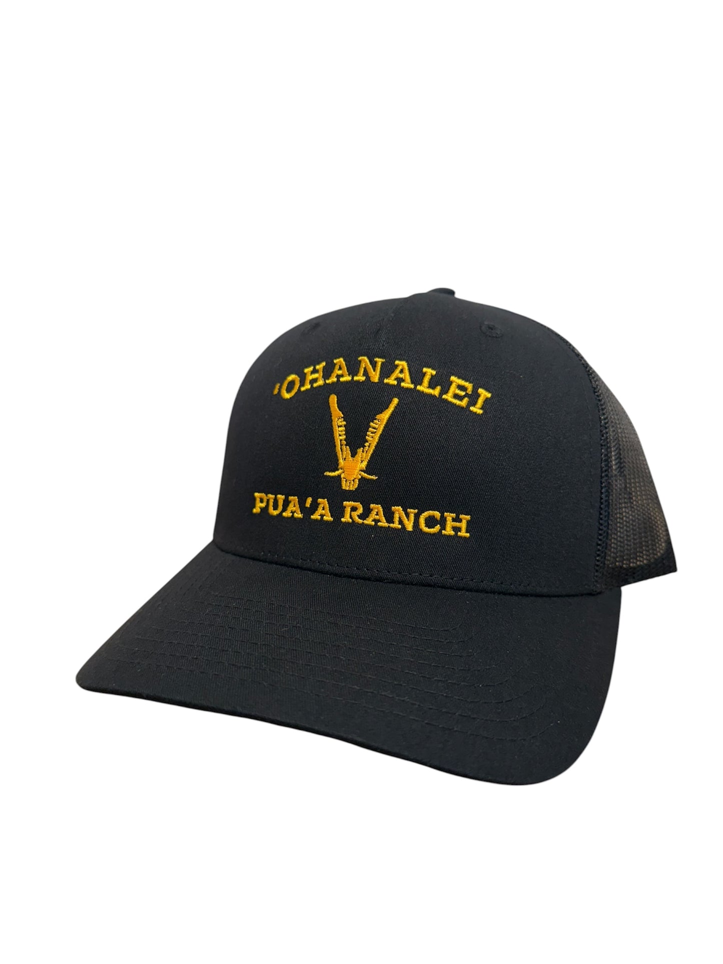 Ohanalei - “Pua’a Ranch” Hat - Black Snap Back