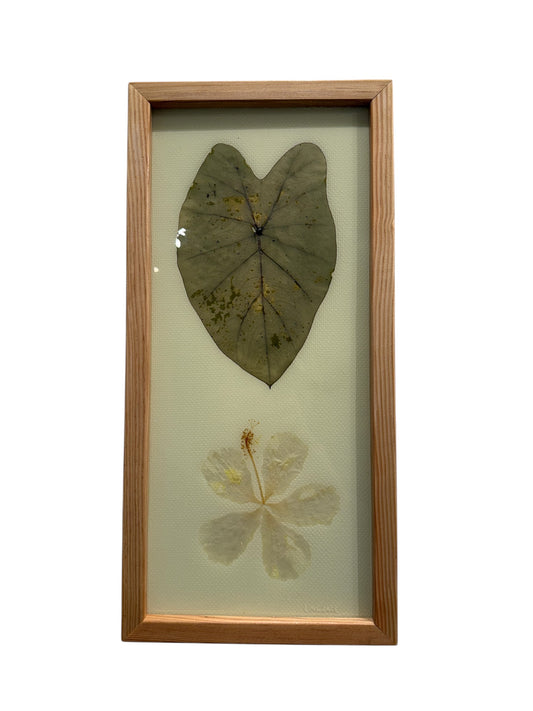 Lovelace Art - Kalo Plumeria