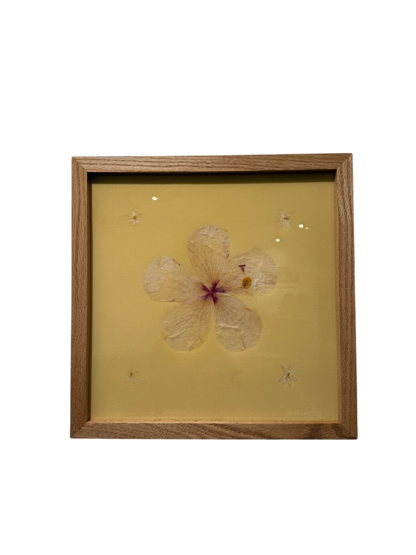 Lovelace Art - Hibiscus single