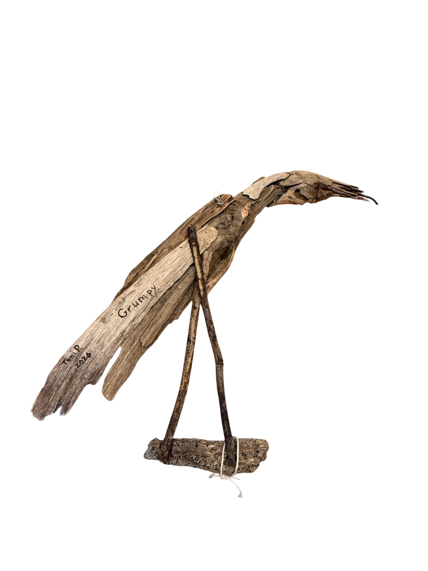 Driftwood Art - “Grumpy Bird” (wall hanging)
