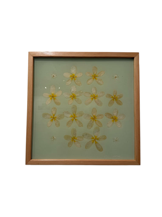 Lovelace Art - Plumeria Patch