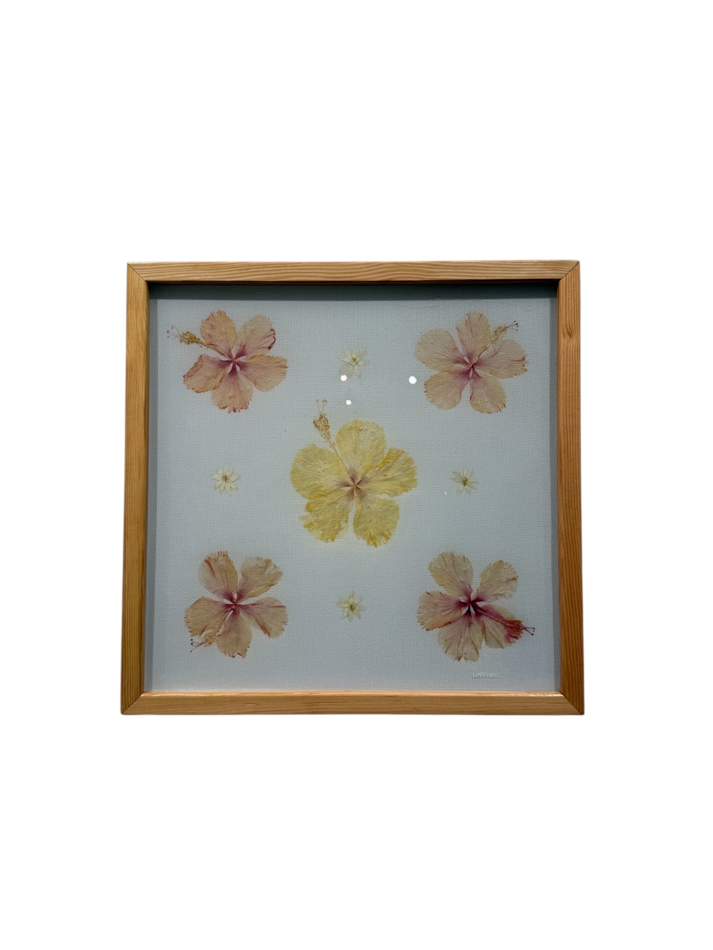 Lovelace Art - Hibiscus