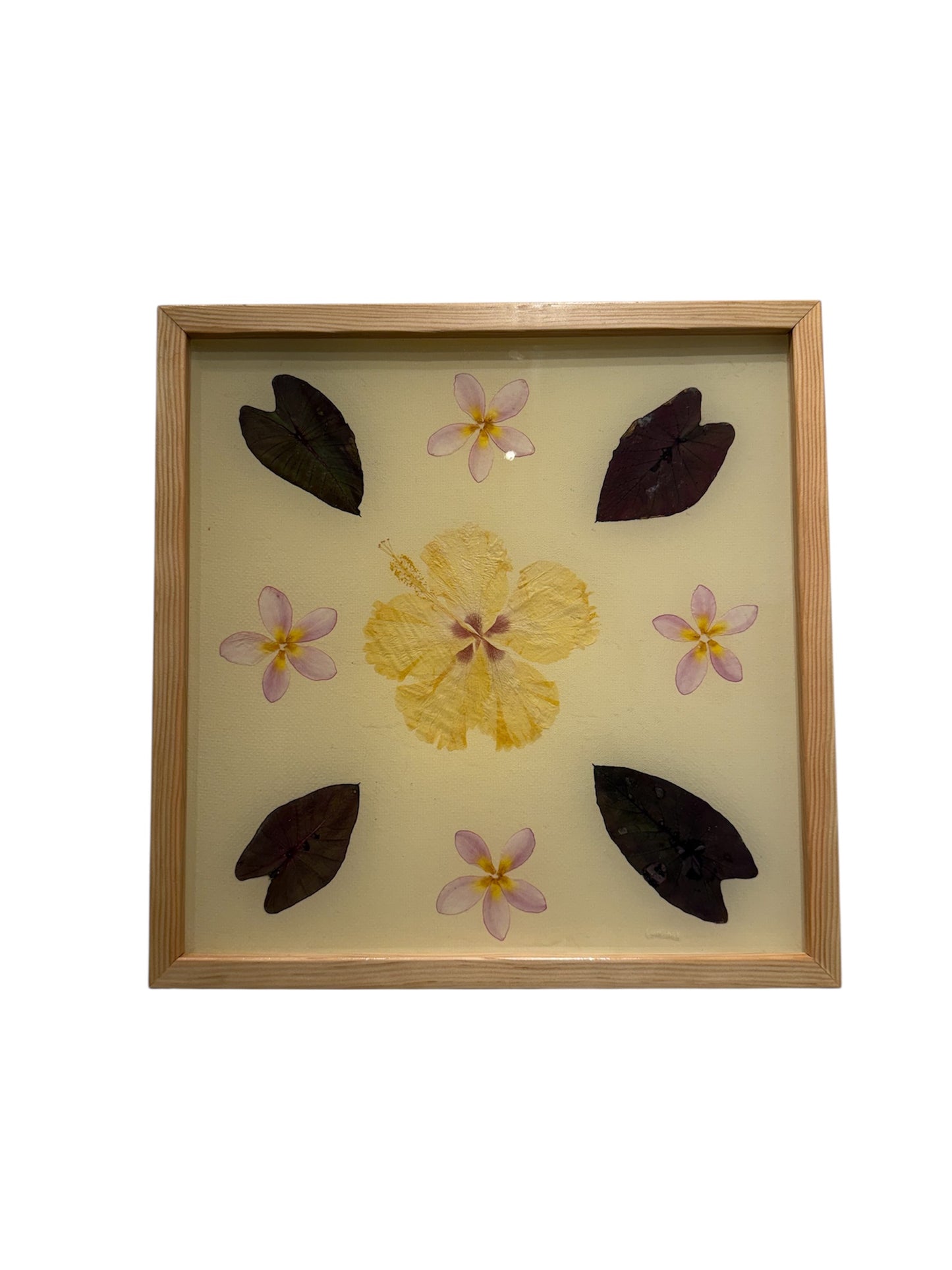 Lovelace Art - Hibiscus Plumeria Kalo