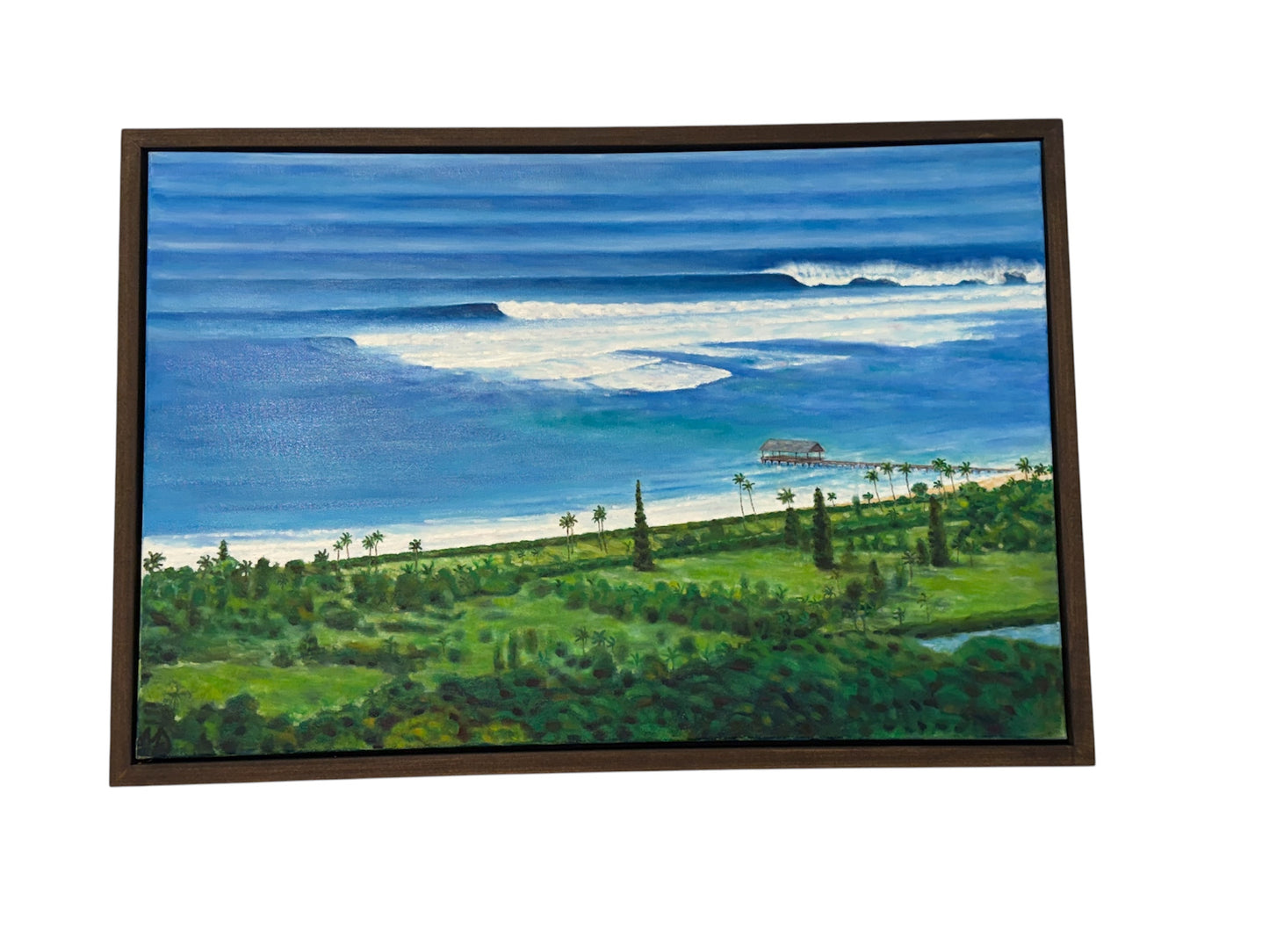 Mike Dennis ART - “ Bird’s Eye View” Hanalei Bay
