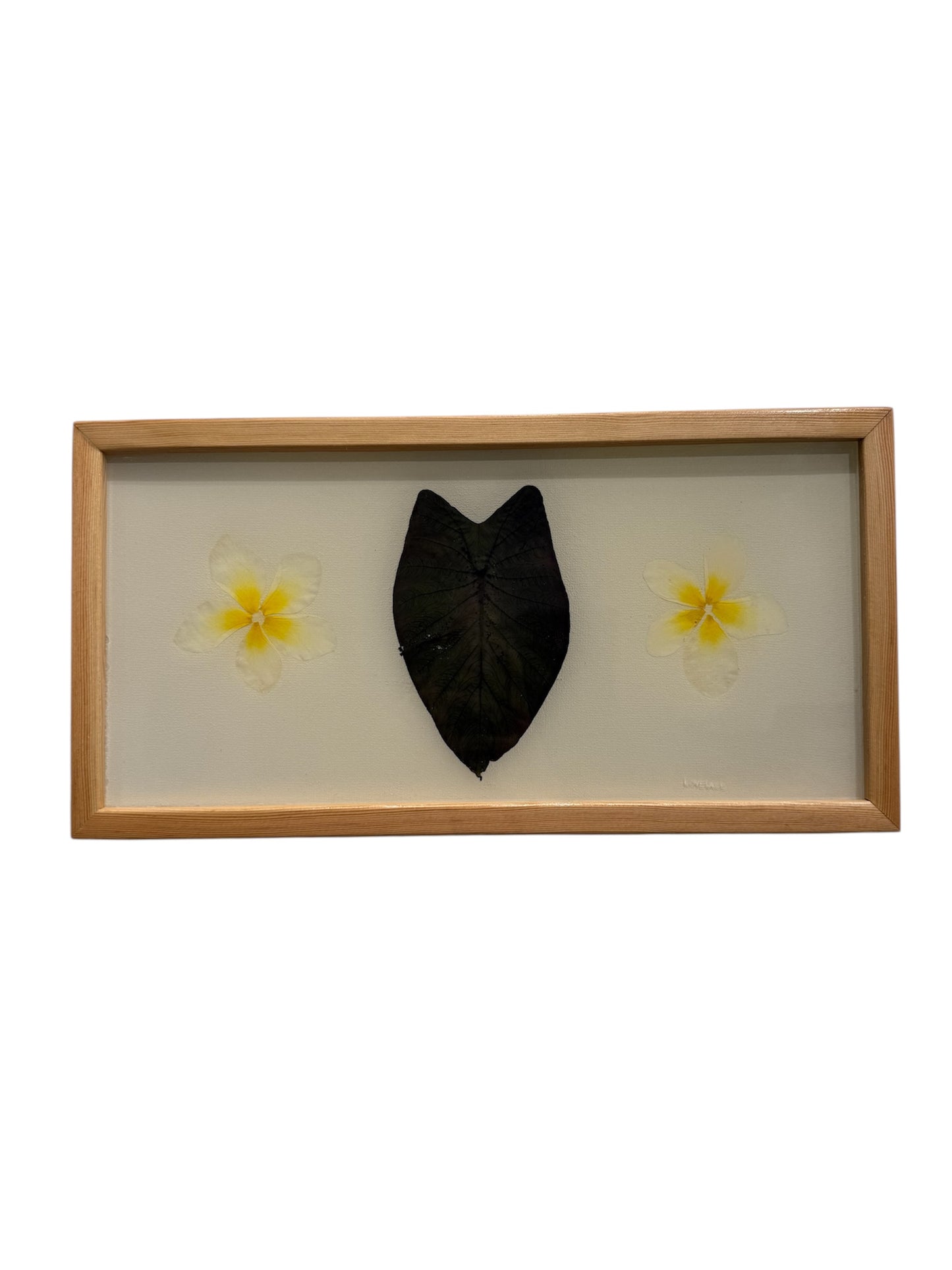Lovelace Art - Kalo Plumerias