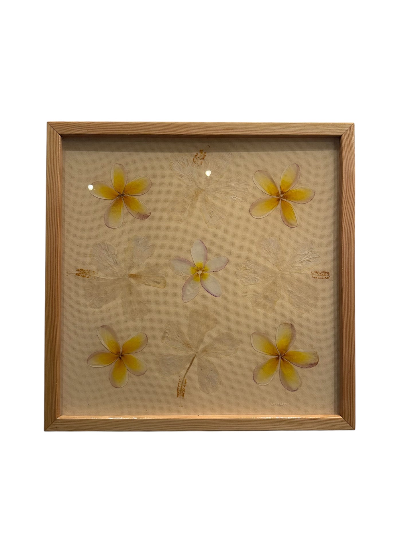 Lovelace Art - Plumerias