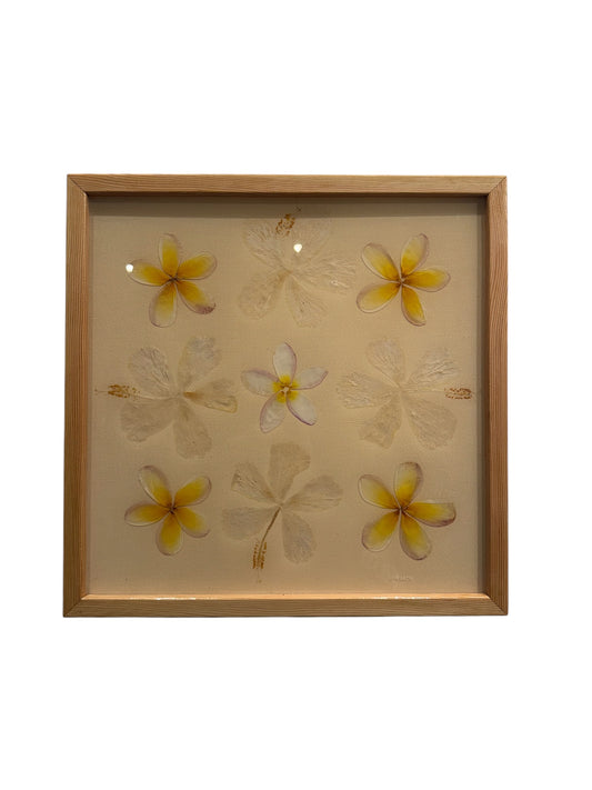 Lovelace Art - Plumerias